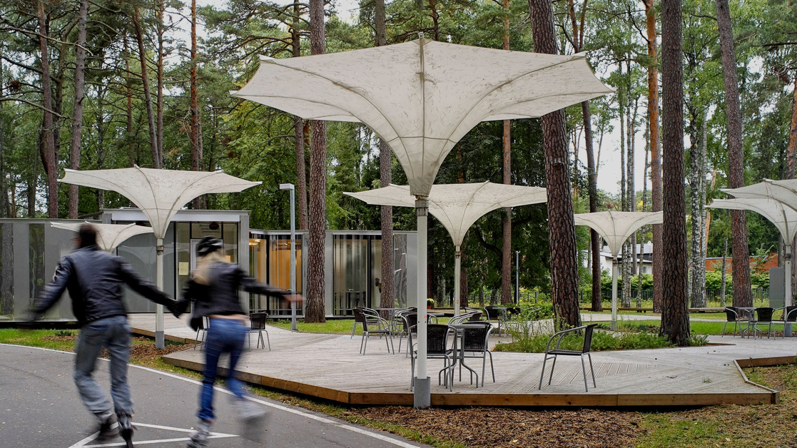 Dzintari forest park